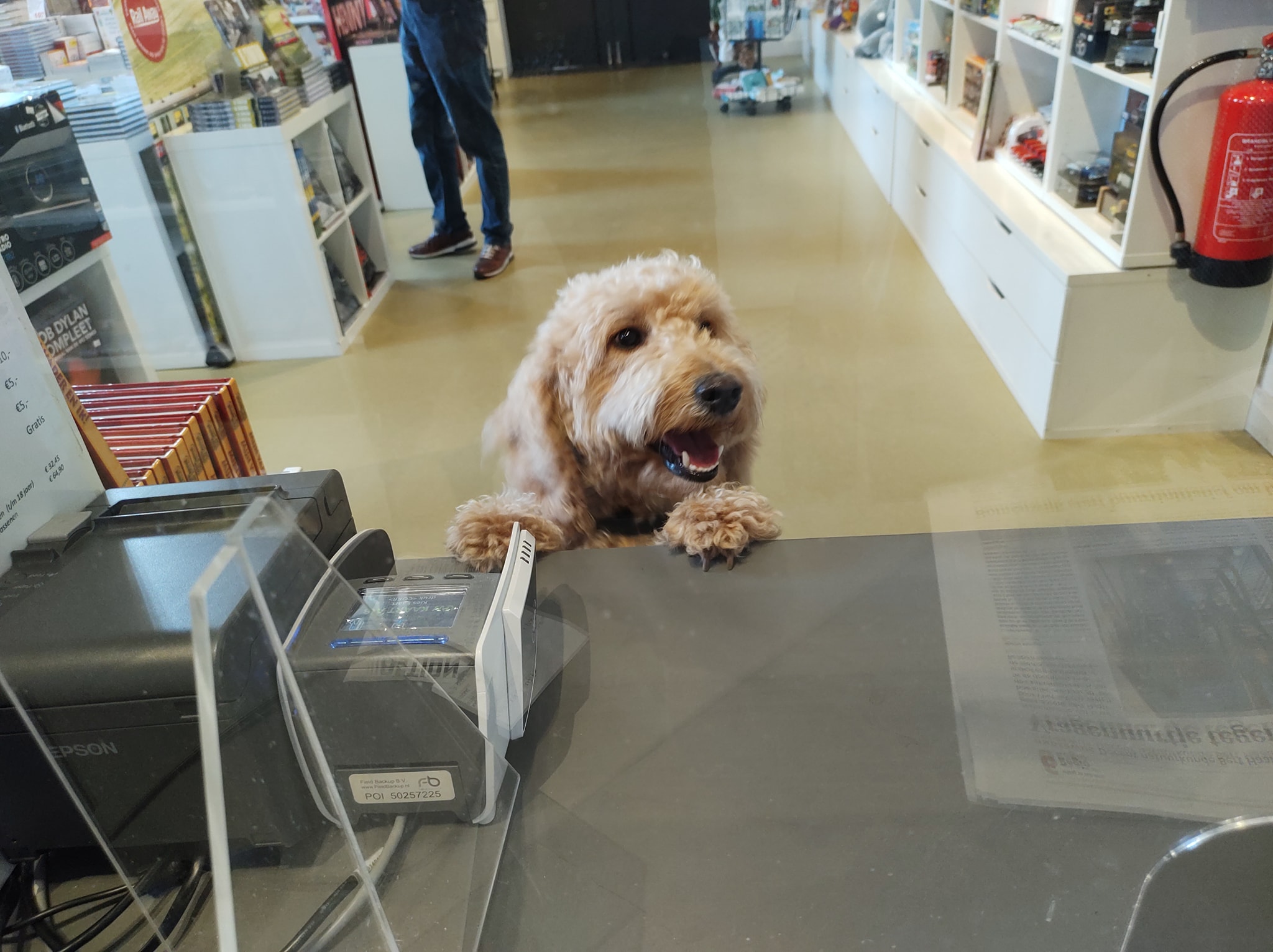 Honden altijd welkom